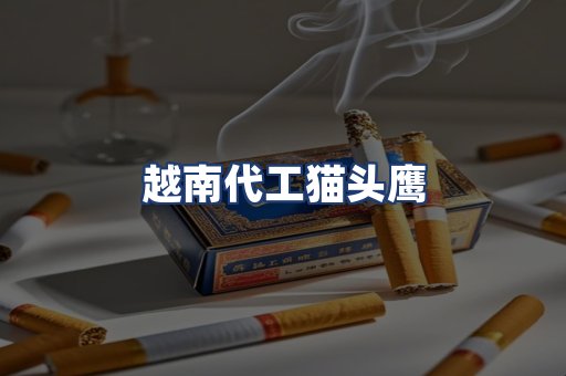 越南代工猫头鹰
